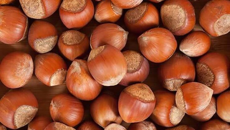 Trabzon’un 9 Aylık Fındık İhracatı 473 Milyon Doları Aştı