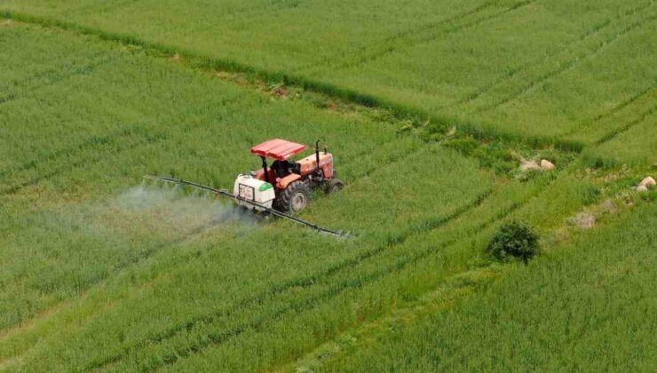 Tarım Sayımında Yüzde 80 Tamamlandı: 2,7 Milyon Çiftçi Sisteme Kaydedildi