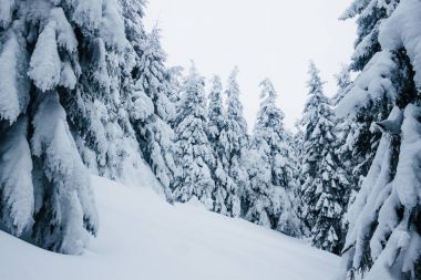 Meteoroloji’den 6 İl İçin “Sarı” Kodlu Uyarı: Yoğun Kar ve Sağanak Bekleniyor