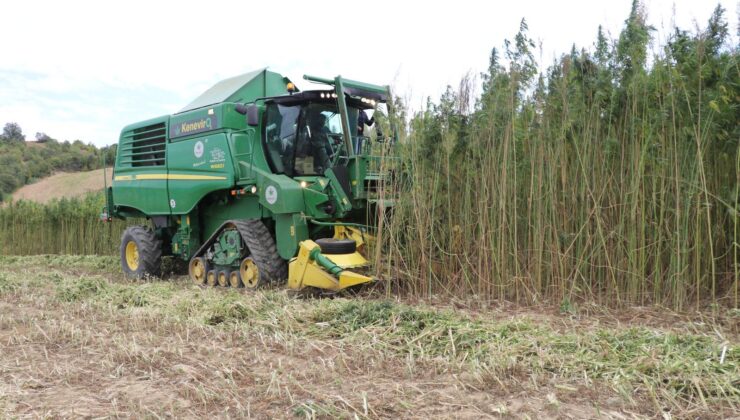 Samsun Tarımda Şahlanıyor: Üreticiye Milyarlık Destek, Ekonomiye Dev Katkı