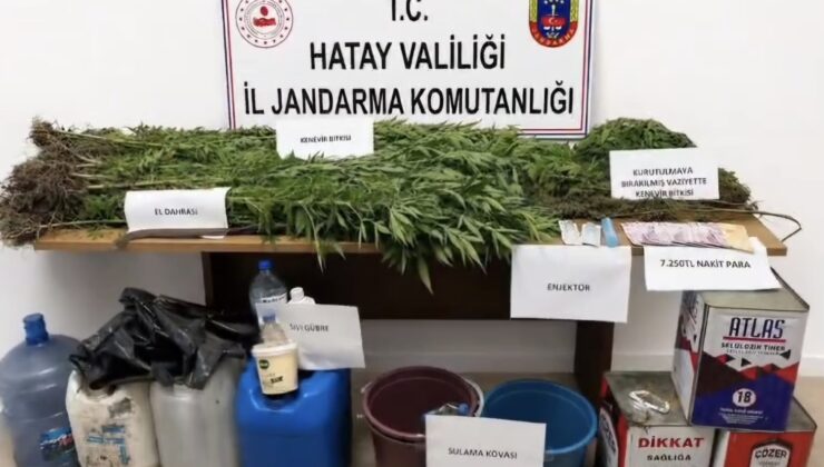 Dörtyol’da Kenevir Operasyonu